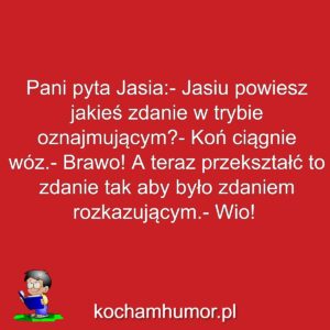 Wio Koniku