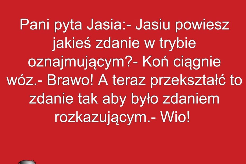 Wio Koniku