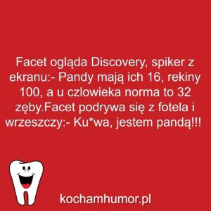 Kochamhumor.pl Dentysta