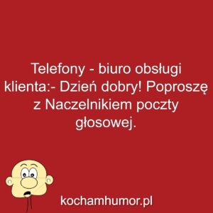 Naczelnik
