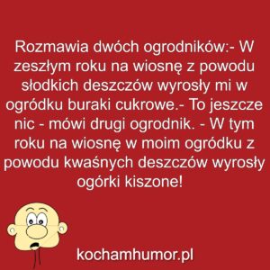 Kochamhumor.pl Idiota 1