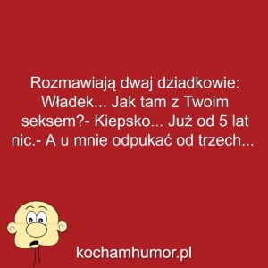 Kochamhumor.pl Idiota