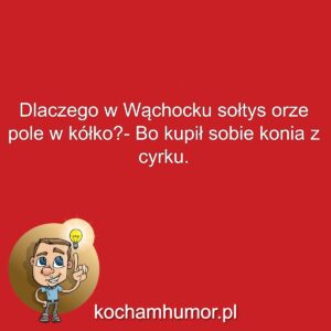 Cyrkowiec