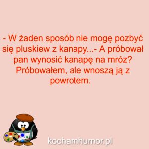 Kochamhumor.pl Malarz