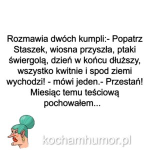 Kochamhumor.pl Tesciowa 1