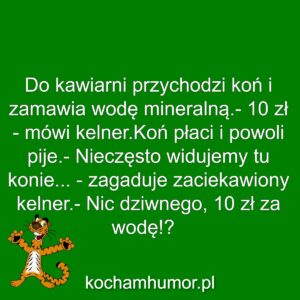 Kochamhumor.pl Zwierzeta 1