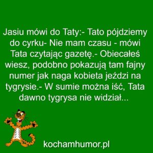 Tygrysek