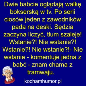 Dowcipy kochamhumor.pl Tesciowa