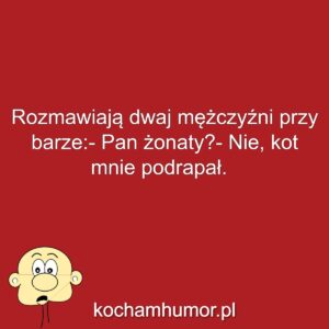 Kochamhumor.pl Idiota 1