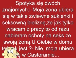 Kochamhumor.pl Idiota (2)