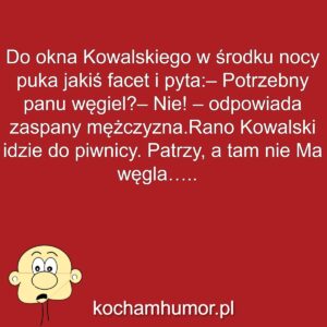 Kochamhumor.pl Idiota