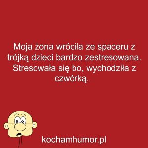 Kochamhumor.pl Idiota