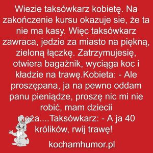 Kochamhumor.pl Zajaczek