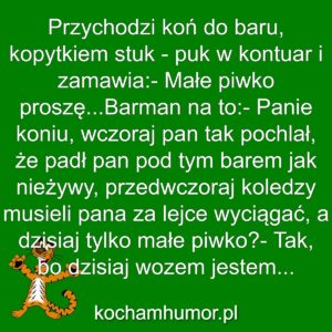 Kochamhumor.pl Zwierzeta
