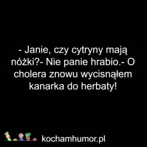 Portal.kochamhumor.pl Dowcipy