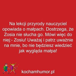 Dowcipy kochamhumor.pl Szkola