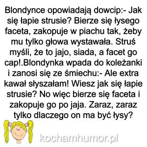 KochamHumor.pl Blondynki 2