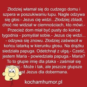 Kochamhumor.pl Idiota