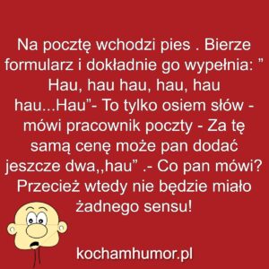 Kochamhumor.pl Idiota 3
