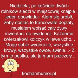 Kochamhumor.pl Idiota 3