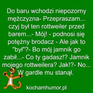 Kochamhumor.pl Zwierzeta