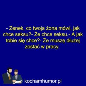 Kochamhumor.pl Faceci