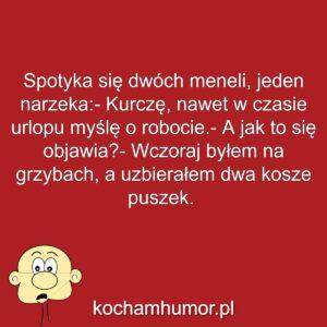 Kochamhumor.pl Idiota 1