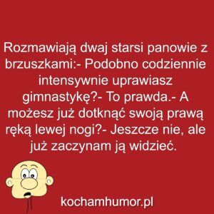 Kochamhumor.pl Idiota