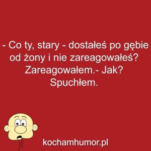 Kochamhumor.pl Idiota