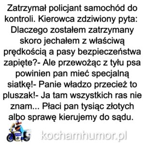 Kochamhumor.pl Policjanci