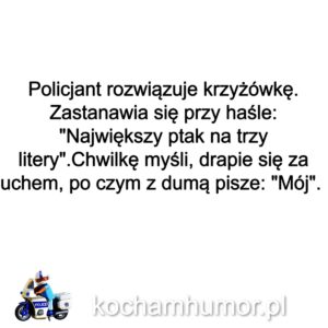 Kochamhumor.pl Policjanci