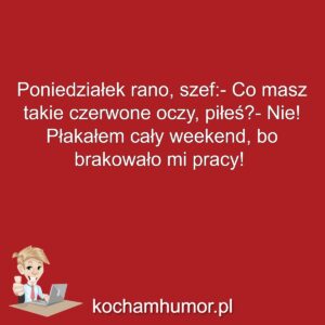 Kochamhumor.pl dowcipy Praca 1