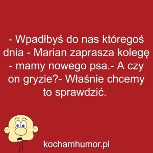 Kochamhumor.pl Idiota 1