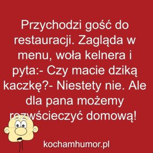 Kochamhumor.pl Idiota