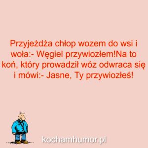 Kochamhumor.pl Kloszard