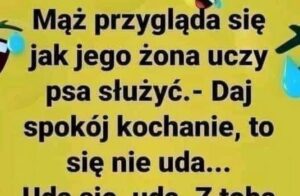 Damy Radę