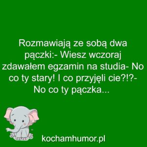 Odrzucony Pączek