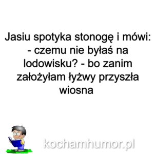 Stonoga Wiosną